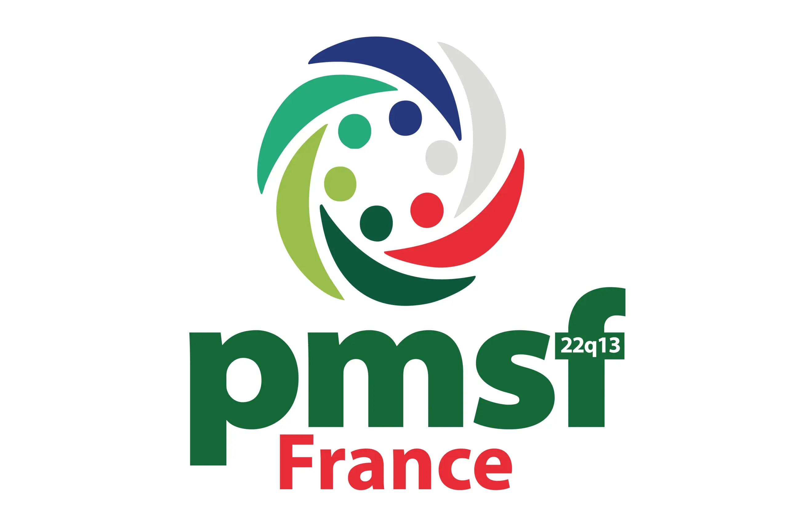 Logo PMSF fRANCE 2026 copie